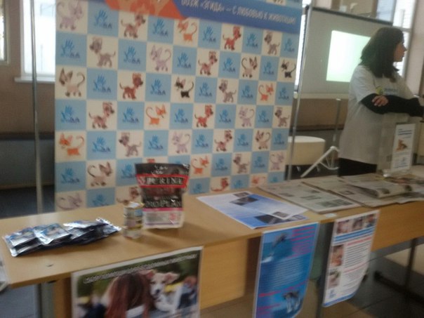 C2ACF04E-BBB6-4C0F-9710-F24510748E93