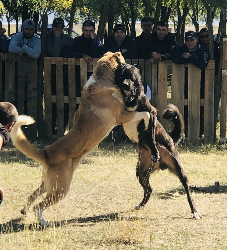 9362B726-4A9A-41DD-AA8B-33D249EE7DFE