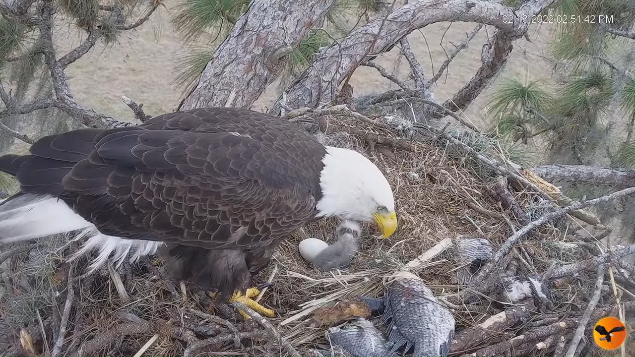 EC 4K Overhead Cam 10-40-38 screenshot