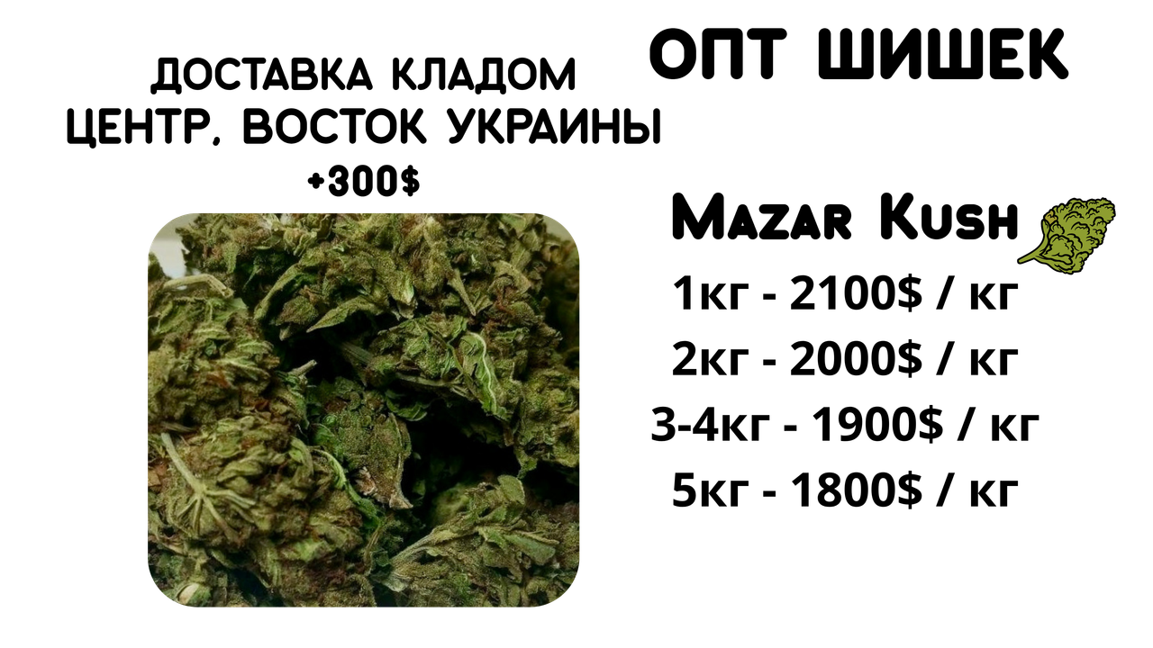 Conclusion, копия.zip - 3