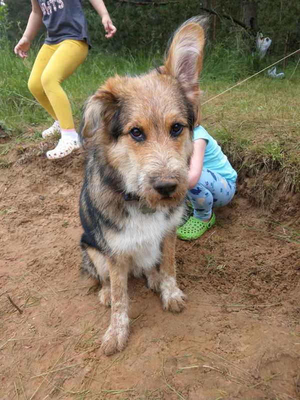 изображение_viber_2020-07-09_21-08-02