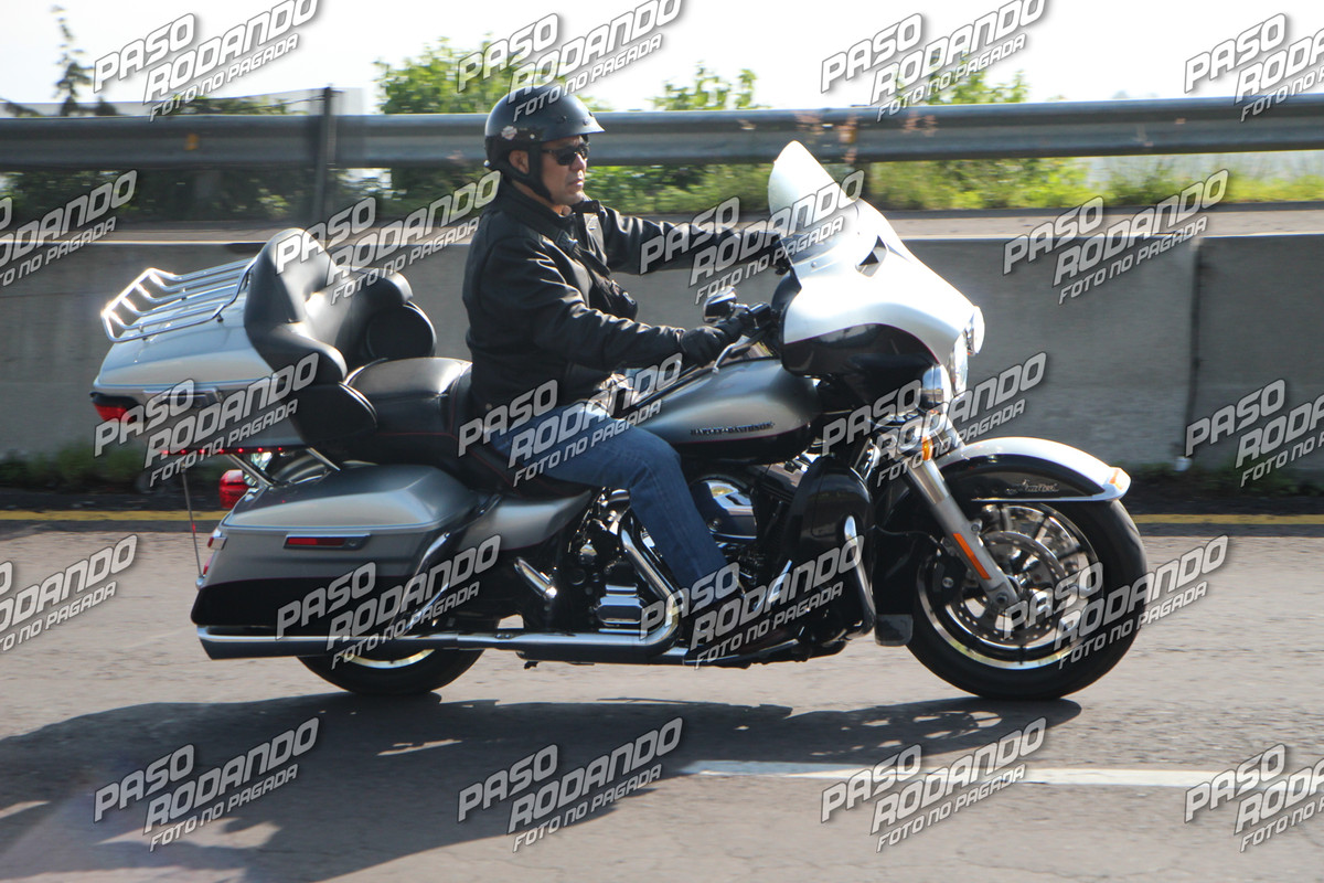 IMG 0572 wm 7821540 2 watermarked — Postimages