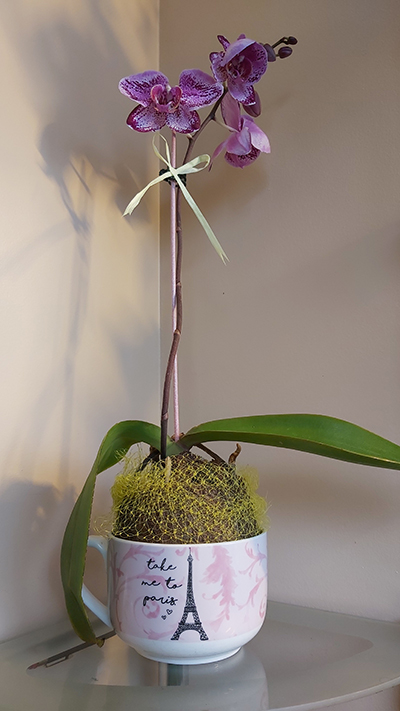 [Image: 20200804-103047.jpg]