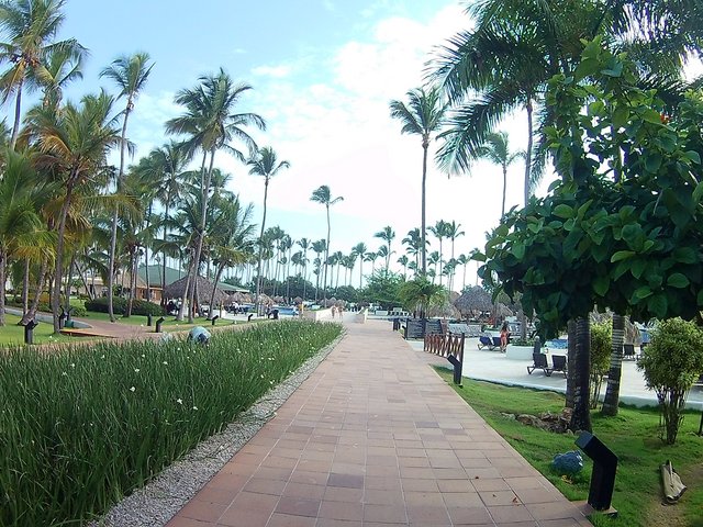 DIA 3 - HOTEL GRAND SIRENIS PUNTA CANA - Hotel Grand Sirenis Punta Cana + Samana + Cortecito (10)