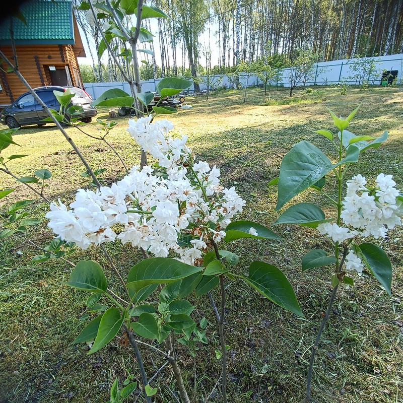 IMG_20240605_080748