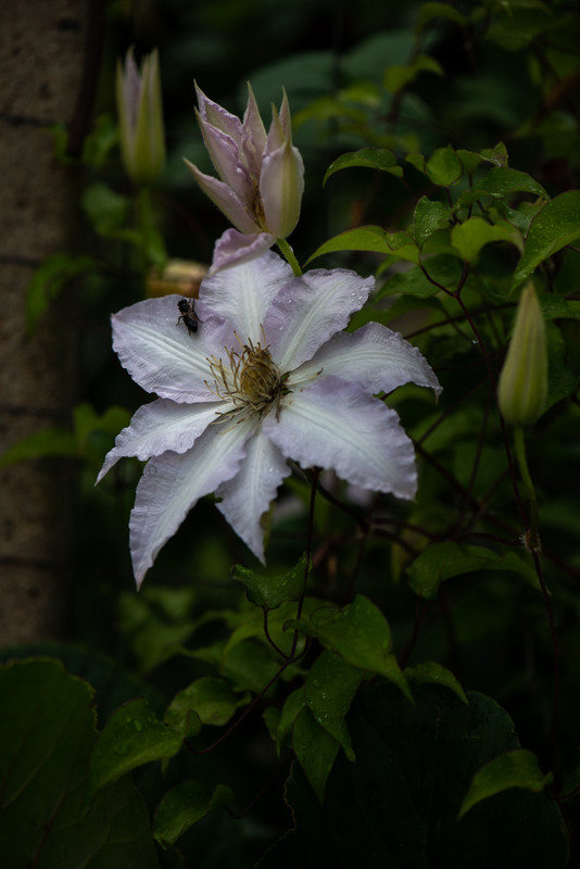 IMG-b2970c0847e691b13ef48da1cf99db76-V