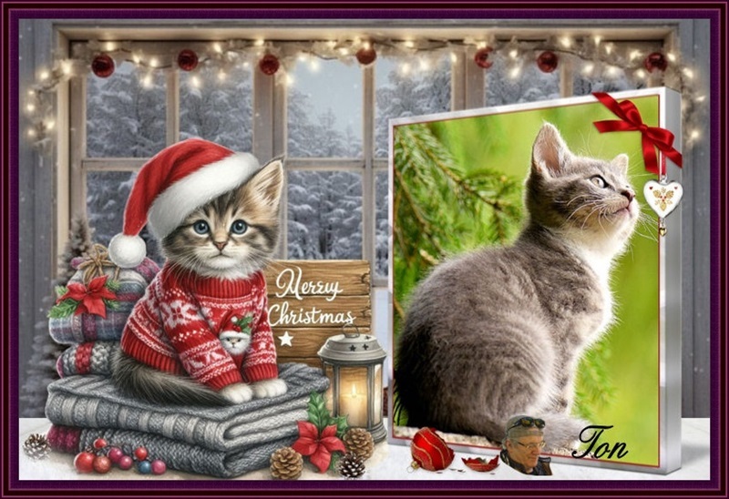 MOOIE-KERST-KAT