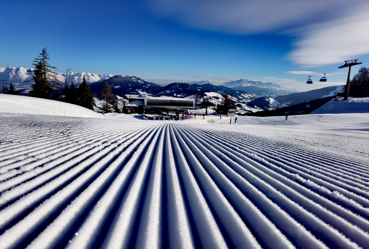 IMG_20220228_084008_edit_124350214752899