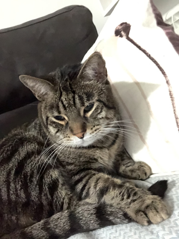 F44A531D-40CD-41B5-8620-13B5AE9E523D