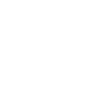 icon1