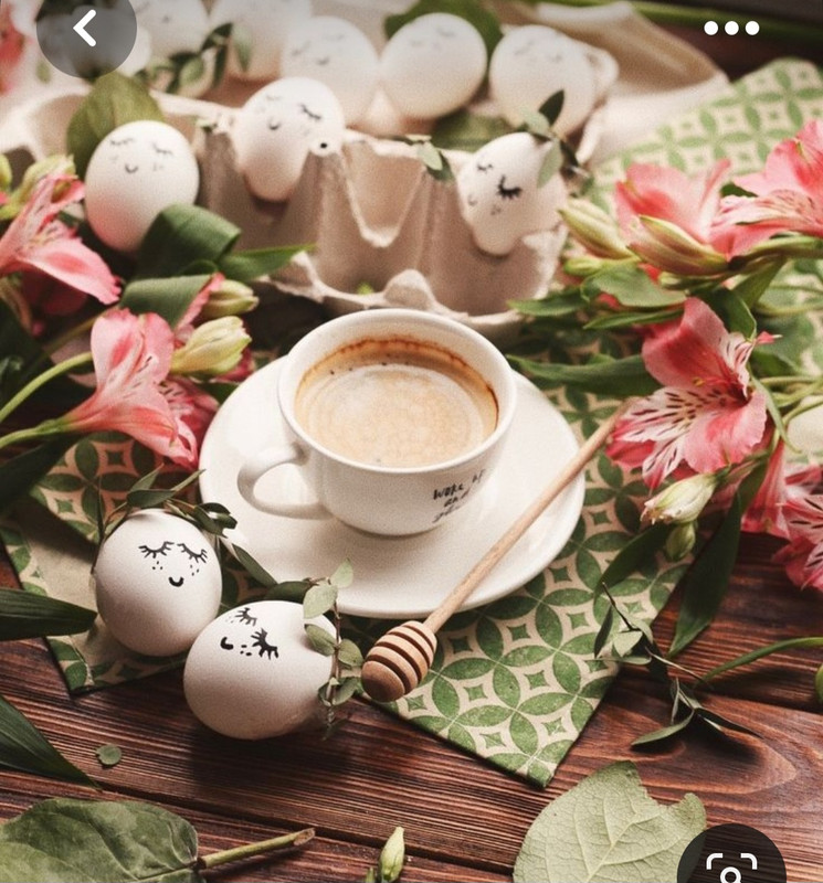 Screenshot_20230417_173601_Pinterest