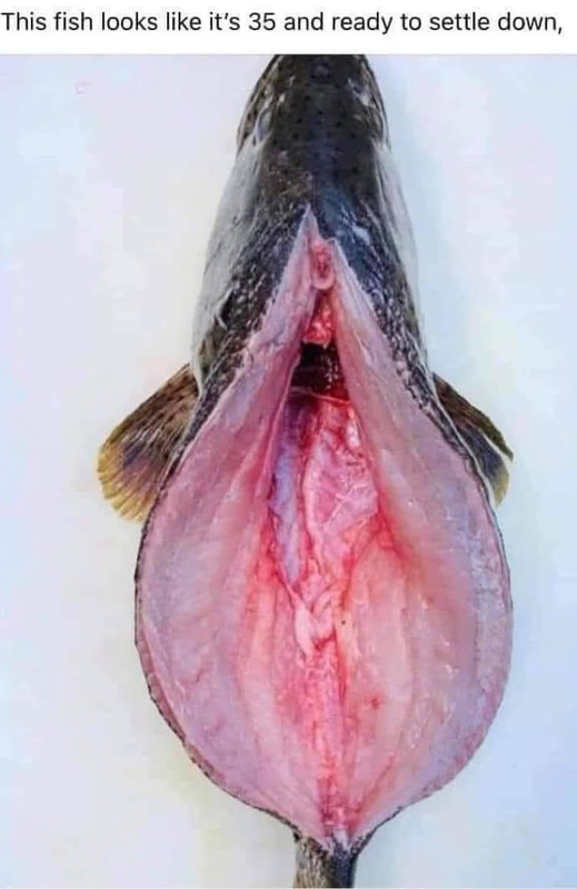 50F9B78F-C850-405E-86B6-DF1C2B2918C4