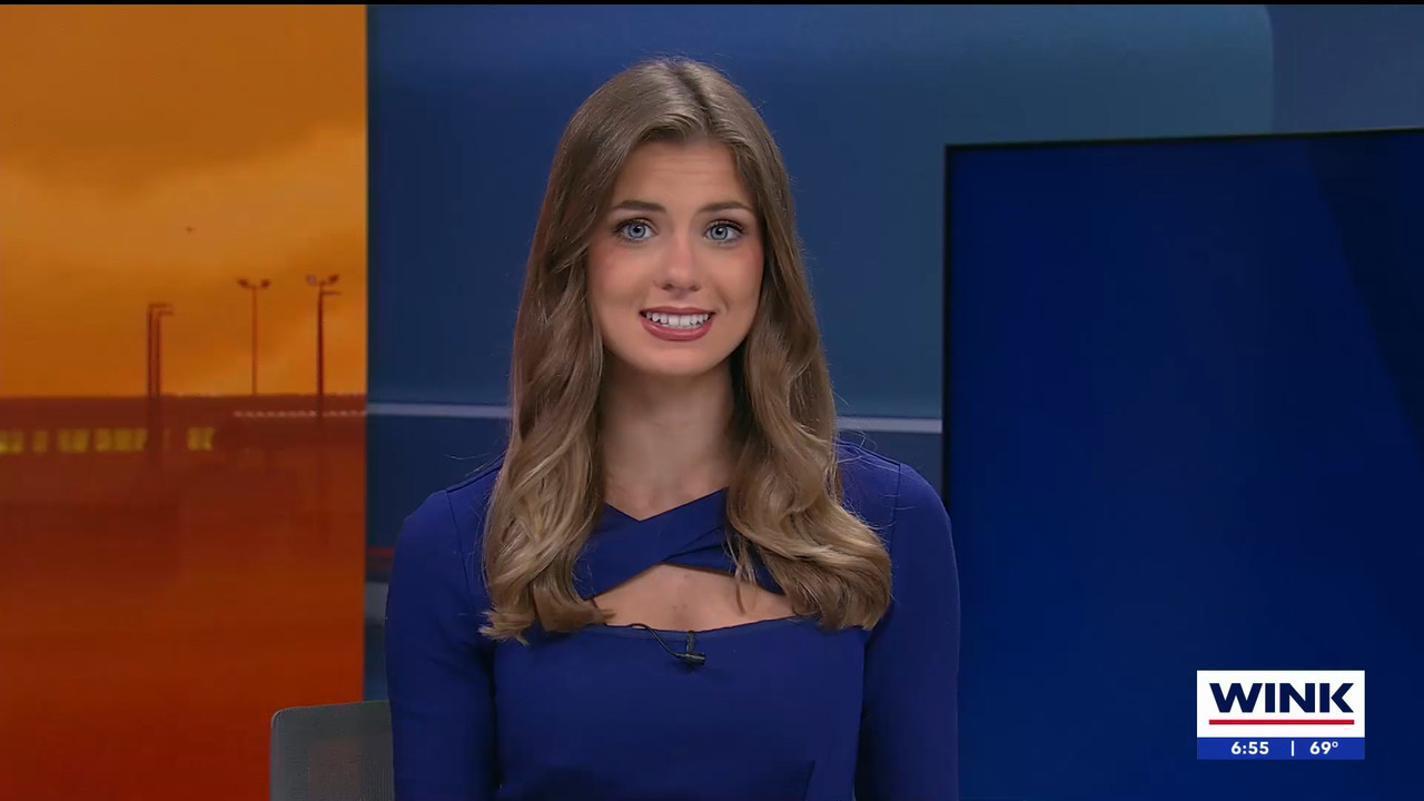 03.16 - 10.00.01 - WINK NEWS at 6 00am Saturday. Saturday morning new....ts_snapshot_00.58.36.484