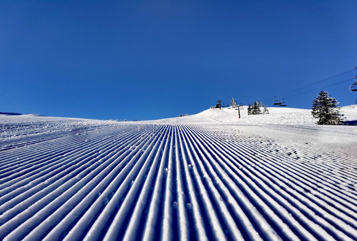 IMG_20220112_092924_edit_593992666009363