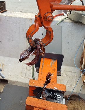 �����������