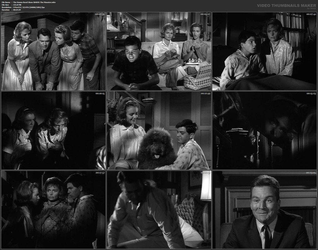 The Donna Reed Show S04E05 The Monster.mkv
