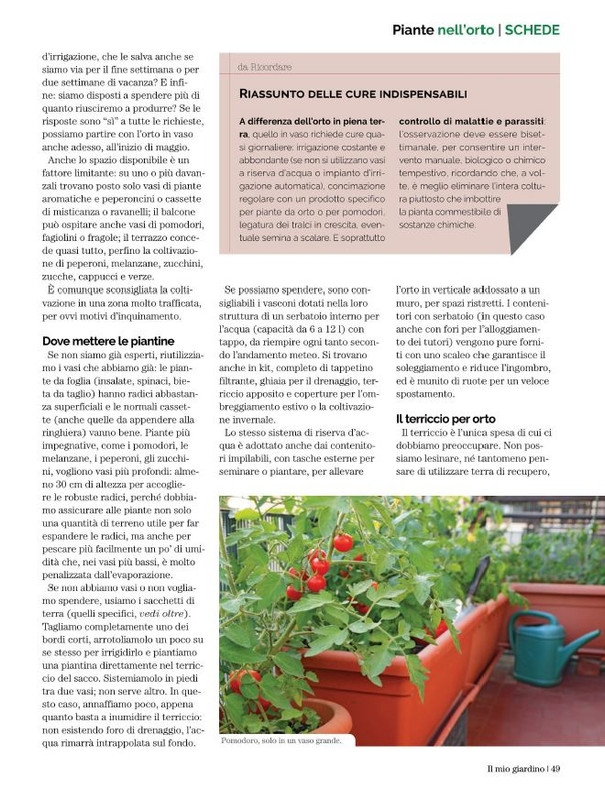 Il Mio Giar GIu-Lug 2022 (8)