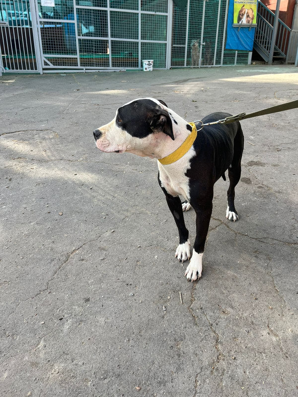 WhatsApp Image 2022-09-13 at 13.03.11 (2)