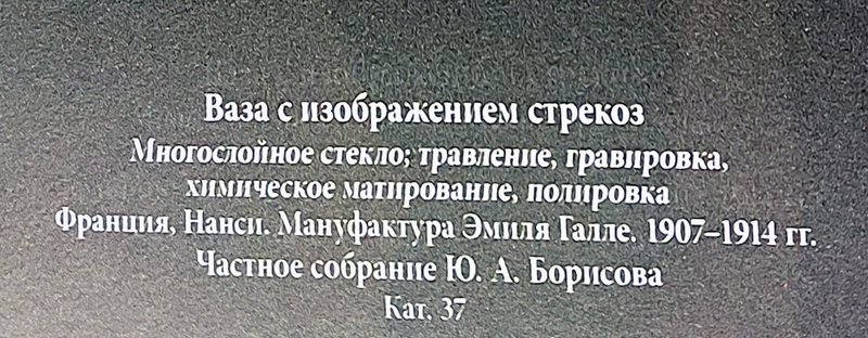 https://i.postimg.cc/hj466px1/015-IMG-20250326-160017.jpg