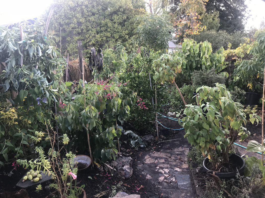 31BD482D-E767-4C7F-A10A-4717874D19C4