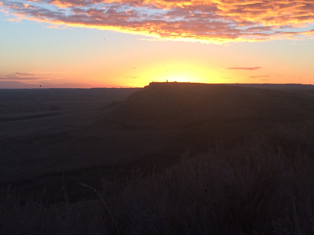 2FB6EE01-2766-4A94-804C-1A8A6B6E5C1B