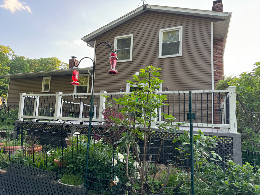 image1 (1)