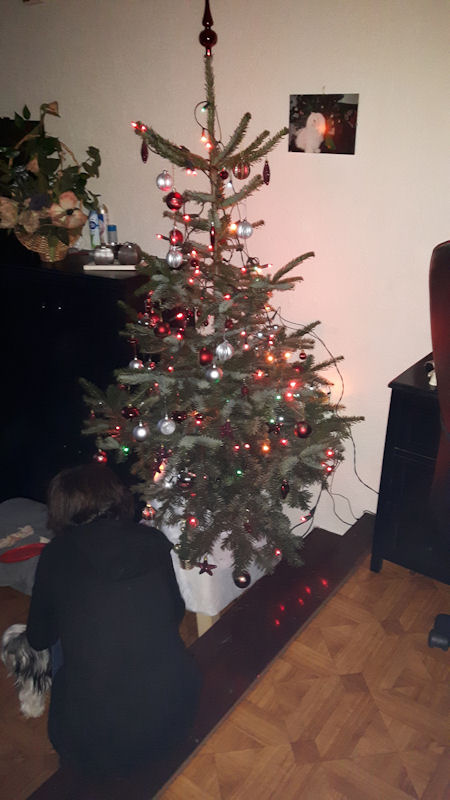 Afbeelding