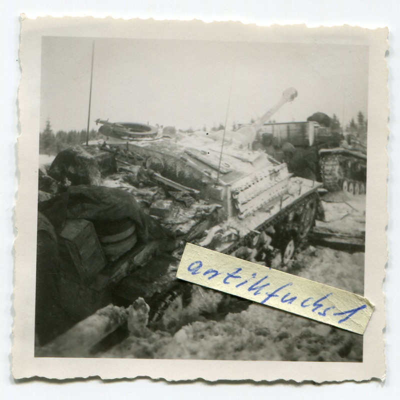 Panzer-Sturmgeschütz in weiß mit Saukopfblende e