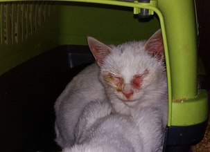 65FEE6AB-A6F7-4BD6-8DEC-CD77DD7C19EA