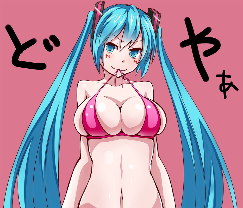 1394799_  hatsune miku (vocaloid) drawn by jaku denpa