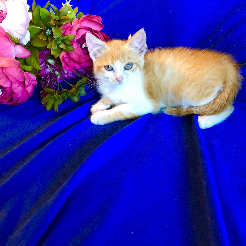 A4F44869-E243-40B8-87AA-B70723CB8B97