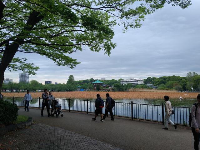 IMG_20180415_1658203