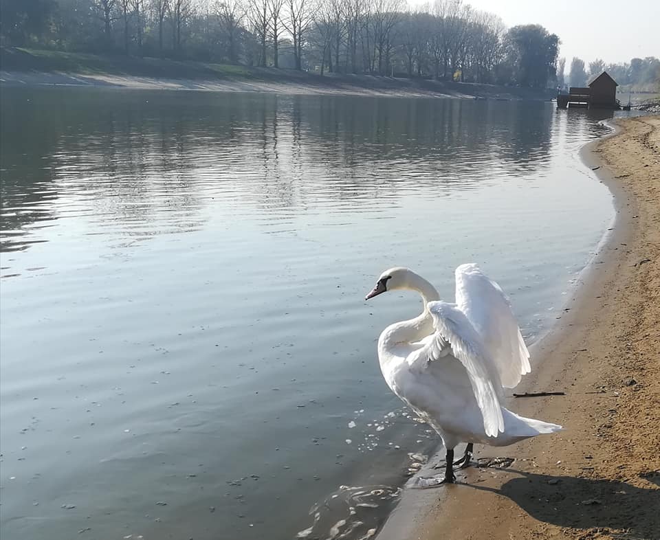 75210664_3135087226533534_1790432644337500160_n