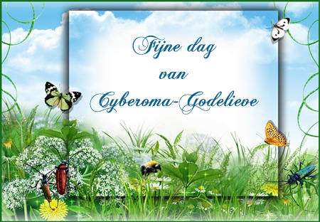 Welkom bij Cyberoma-Godelieve