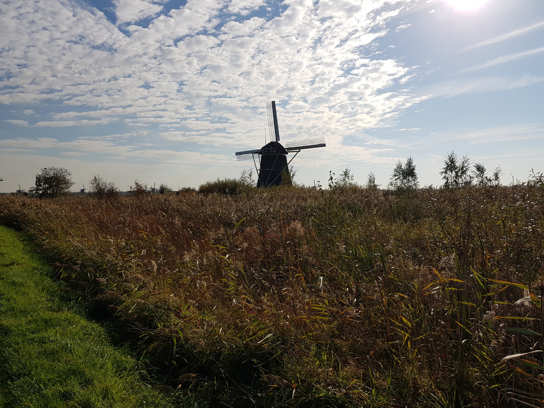 Pieter, De Hoge Molen 02 Nieuw-Lekkerland (Kinderdijk) 16-10-201