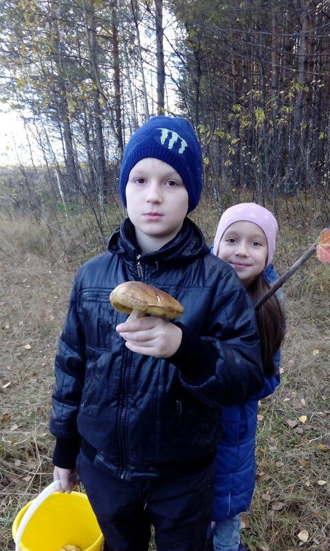 06_10_18_грибы_2