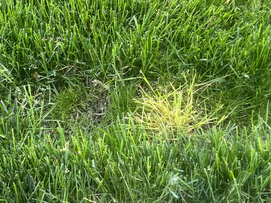 B4A345BD-2356-422F-ADAE-133FE1206AD6