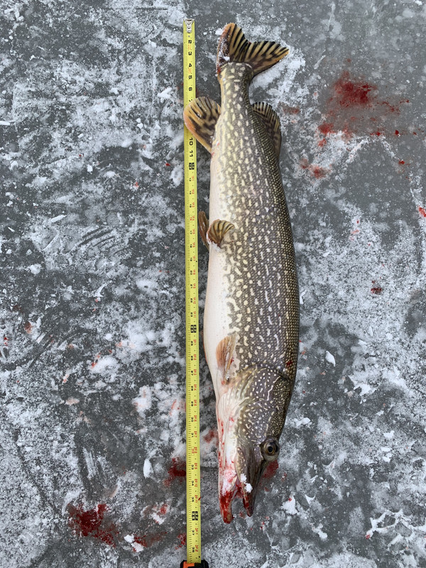 3CB24AFE-6EE5-4455-83F8-26B8BE4A7286