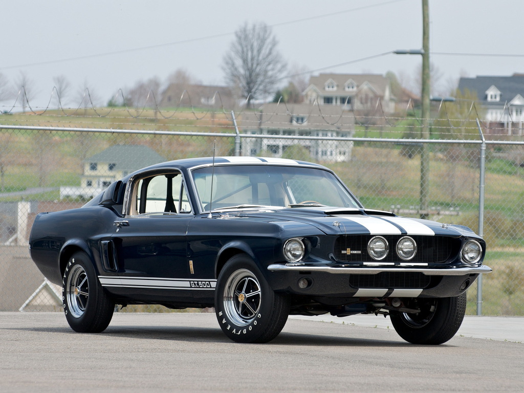 shelby_gt500_with_lemans_stripes_option_11