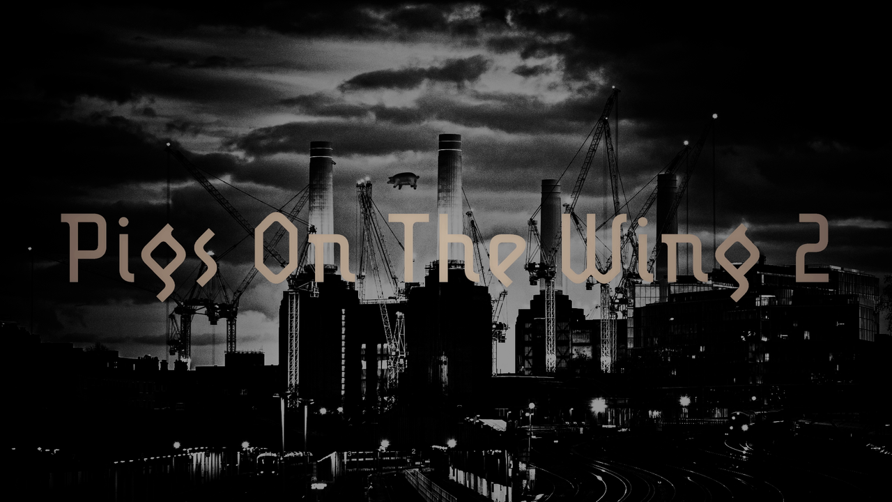 vlcsnap-2023-02-04-12h34m29s216