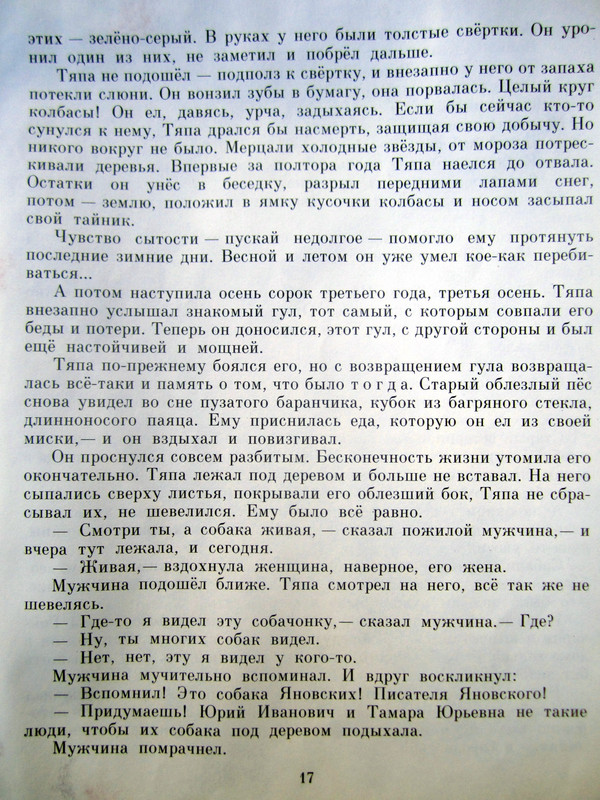 IMG-5010