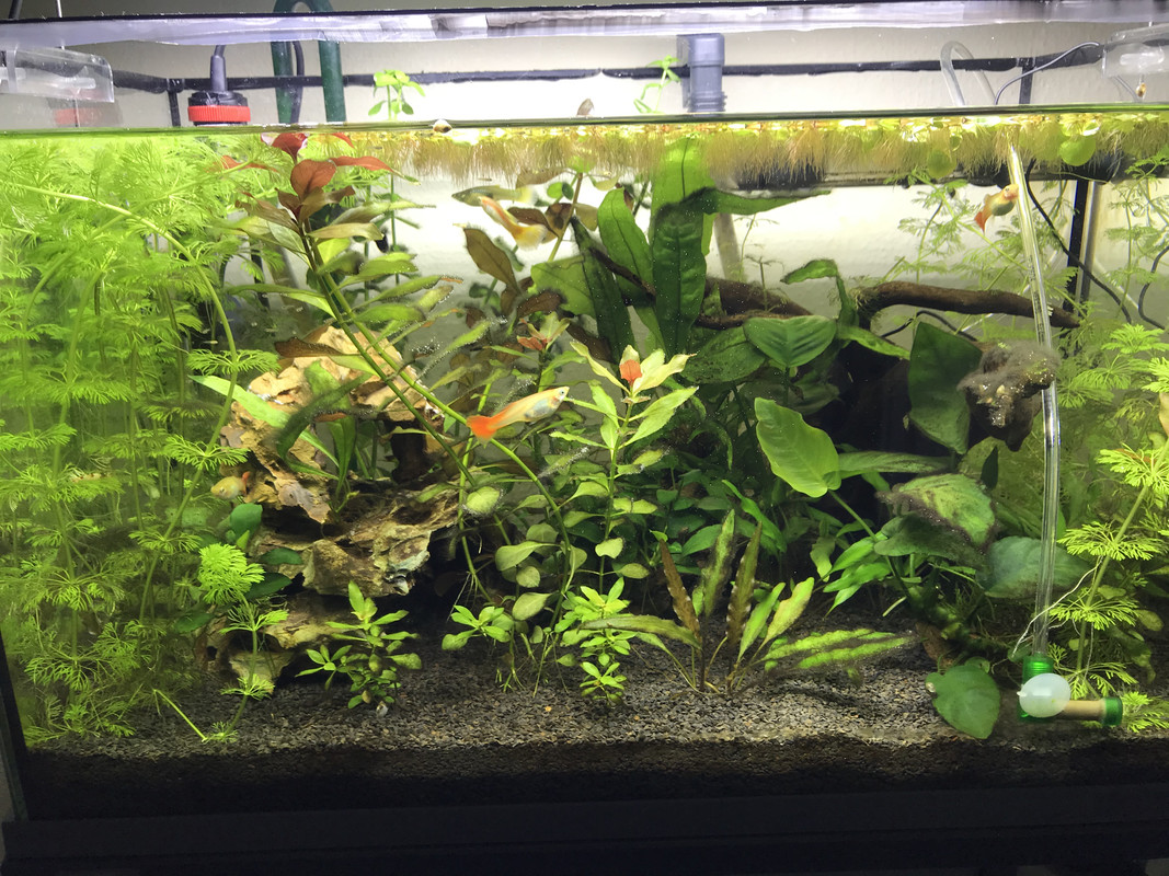 5C7A9658-F2A8-4419-AC47-2FCD05830E29