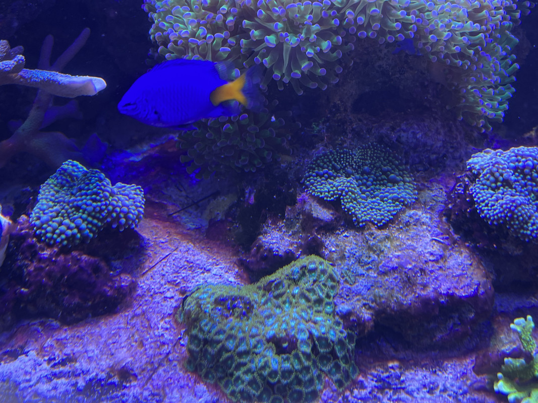 5EF6604A-08E0-4AD4-B4B5-4160DEC86453