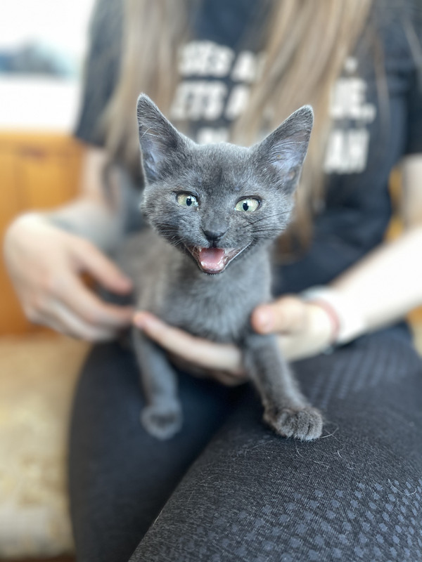 4960A3D9-8C59-4FD8-8A09-F1B750226F85