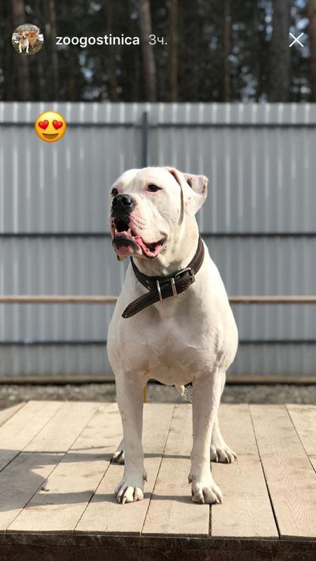 C43D5334-0F4F-4C4F-B728-C996D172DB24