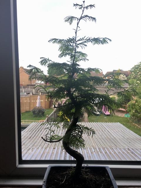 1D9F7A93-A72B-4F04-AA7C-FE87875AAE4B