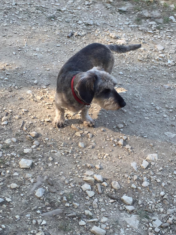 [Image: IMG-20210508-WA0011.jpg]