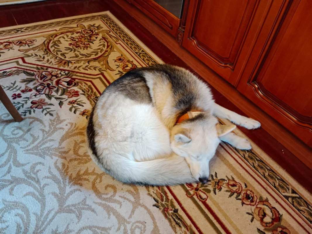 B0F68EA0-3965-48F9-9601-FA62E038765E