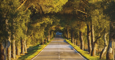 ESTRADA NACIONAL 2 CELEBRA O 75º ANIVERSÁRIO