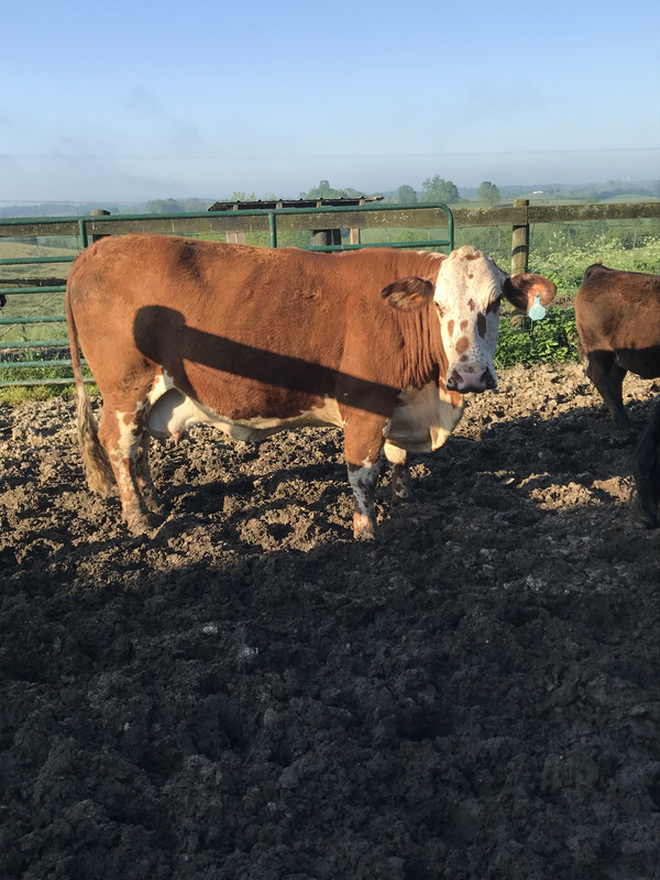 EAF3F2BC-DCEF-4895-A12E-E196C279D2C5